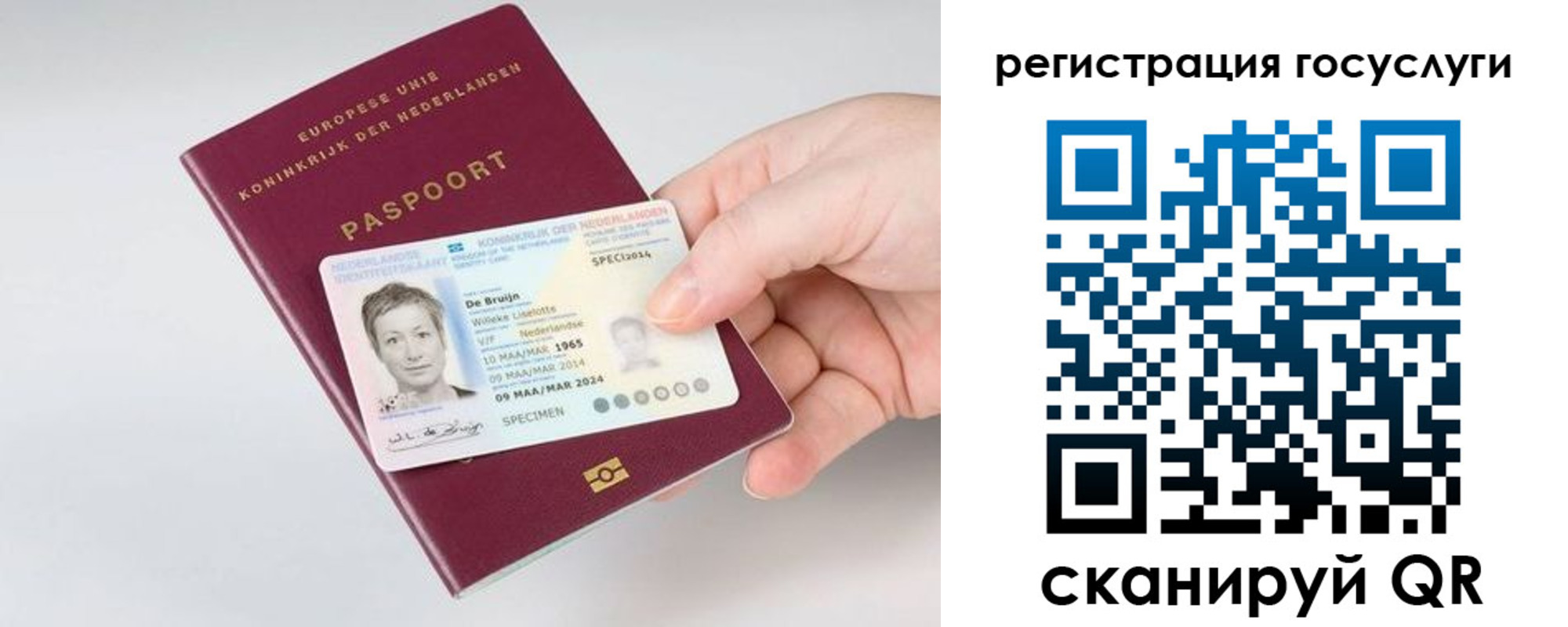 регистрация для дет. сада в Новоузенске